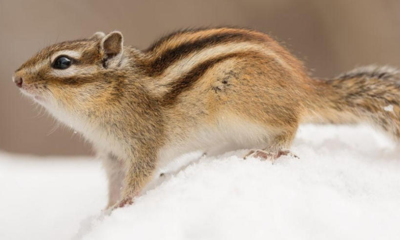 瑞安市帝客卫浴有限公司轮播图2