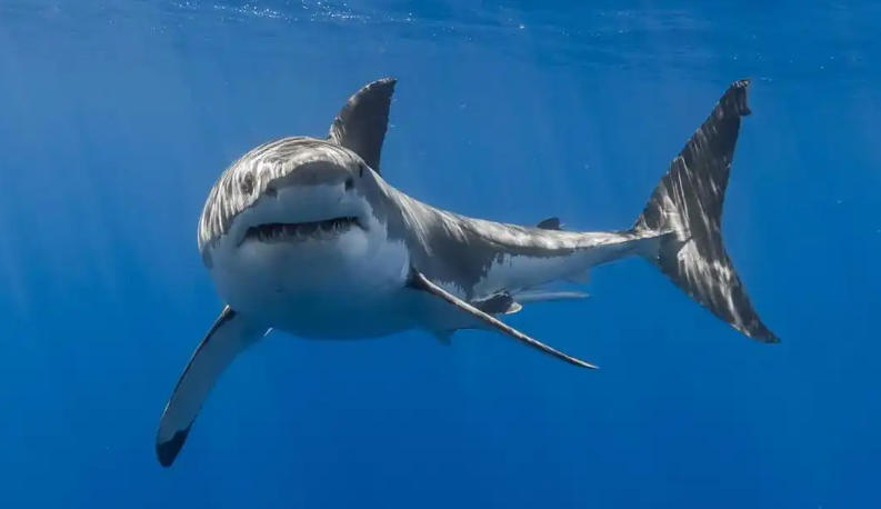 瑞安市帝客卫浴有限公司轮播图1