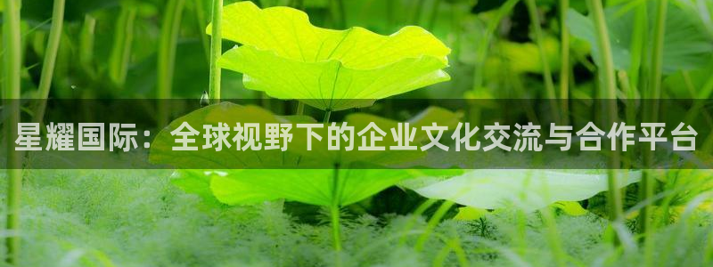 2元网走势图表：星耀国际：全球视野下的企业文化交流与合作平台