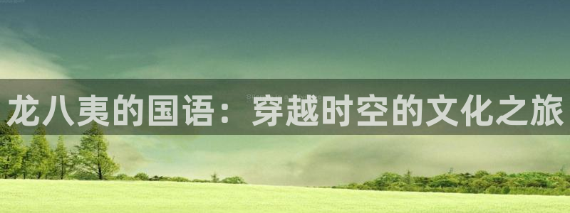 2元彩票体育凯捷代理注册：龙八夷的国语：穿越时空的文化之旅