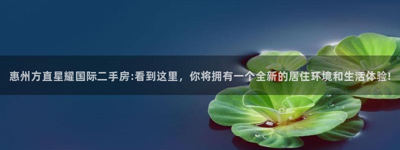 佛山市南海2元彩票机电仪器有限公司：惠州方直星耀国际二手房:看到这里，你将拥有一