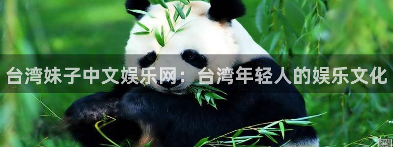 2元彩票4：台湾妹子中文娱乐网：台湾年轻人的娱乐文化