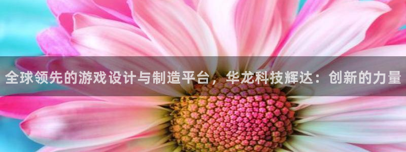 2元彩票体育合法嘛：全球领先的游戏设计与制造平台，华龙科技辉达：创新的力量