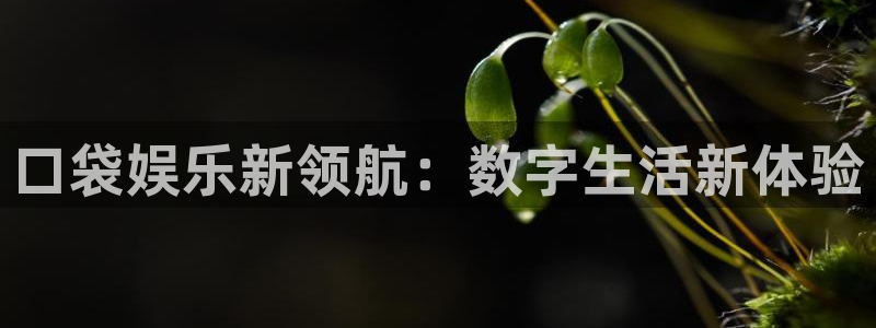 2元彩票4平台注册：口袋娱乐新领航：数字生活新体验