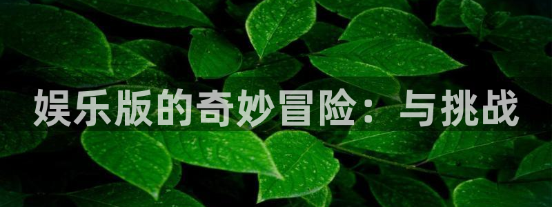 2元彩票零能源集团：娱乐版的奇妙冒险：与挑战