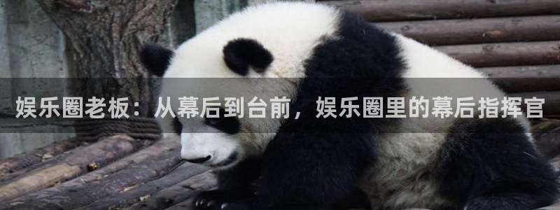 3d连线走势图2元网：娱乐圈老板：从幕后到台前，娱乐圈里的幕后指挥官
