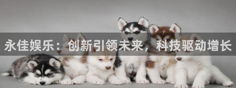 2元彩票平台官网：永佳娱乐：创新引领未来，科技驱动增长