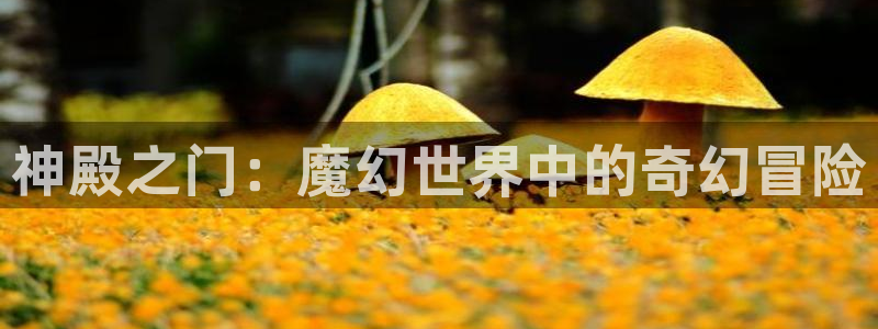 2元网3d走势图：神殿之门：魔幻世界中的奇幻冒险