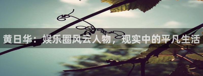 2元彩票体育凯捷平台招商：黄日华：娱乐圈风云人物，现实中的平凡生活