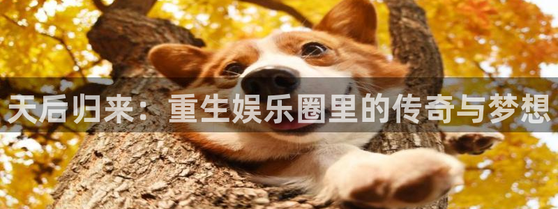 2元彩票体育3在线注册：天后归来：重生娱乐圈里的传奇与梦想
