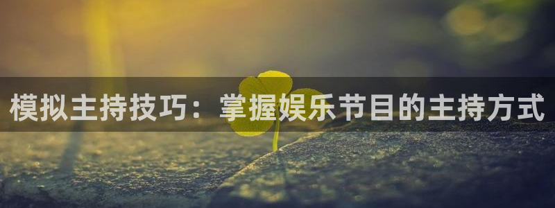 2元网河南二十二：模拟主持技巧：掌握娱乐节目的主持方式