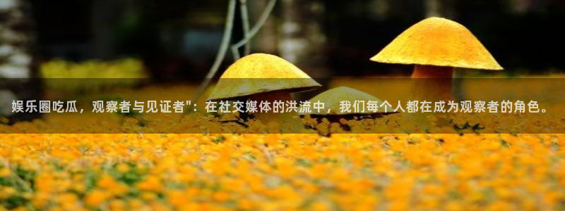 2元彩票凯捷平台注册链接：娱乐圈吃瓜，观察者与见证者\
